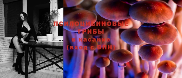 экстази Каменка