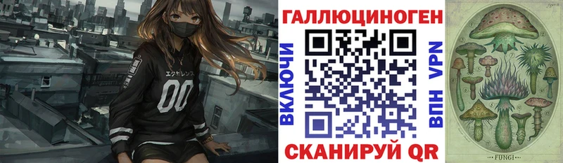 Купить  Звенигово  Псилоцибиновые грибы GOLDEN TEACHER 