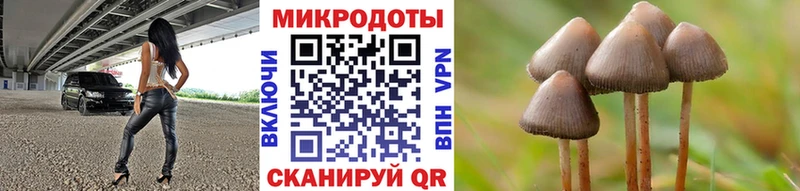 Псилоцибиновые грибы Psilocybe Звенигово